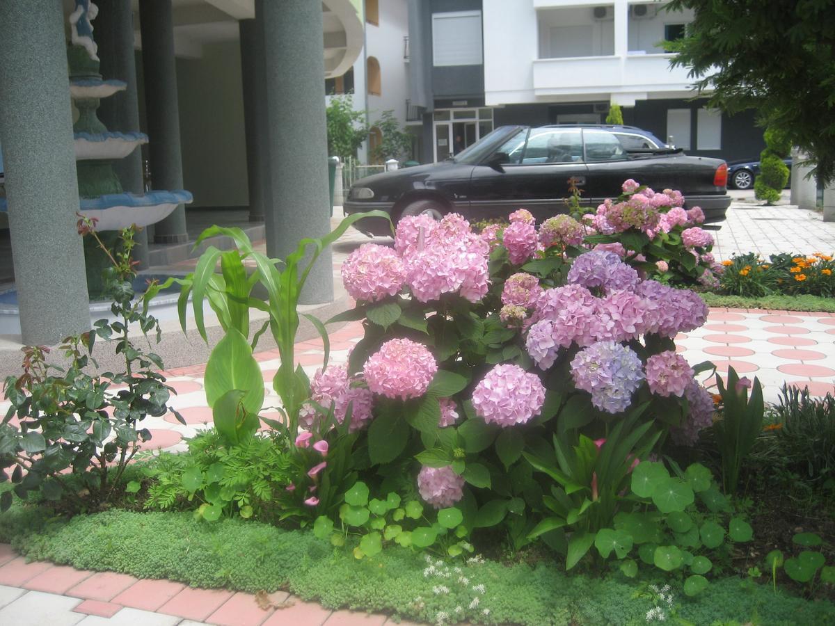 Guest House Vila Mimoza Ulcinj Esterno foto