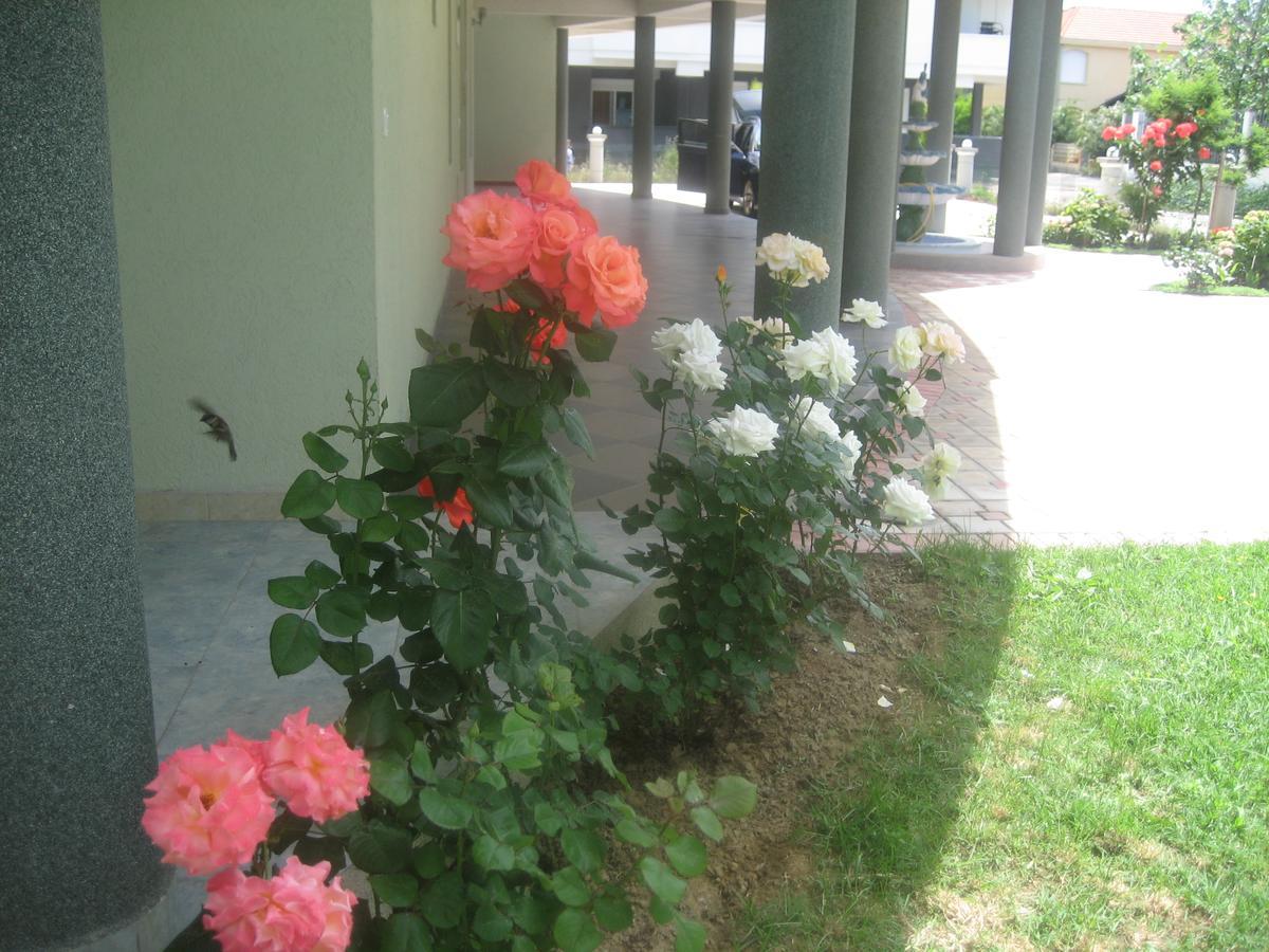 Guest House Vila Mimoza Ulcinj Esterno foto