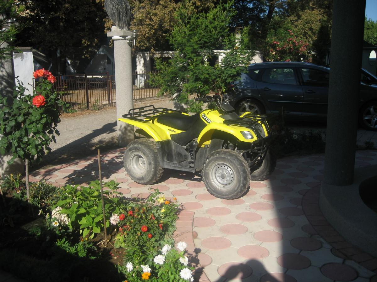 Guest House Vila Mimoza Ulcinj Esterno foto